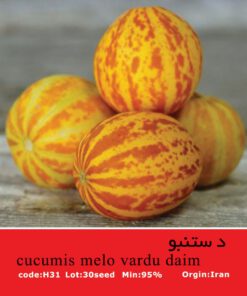 بذر میوه دستنبو Cucumis Melo Vardu Daim