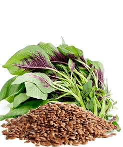 بذر سبزیجات