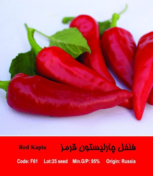 بذر فلفل چارلیستون قرمز Red Kapia