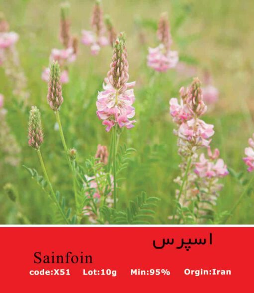 بذر گل اسپرس sainfoin