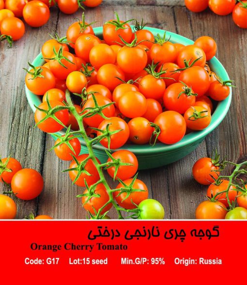 بذر گوجه چری نارنجی درختی Orange Cherry Tomato