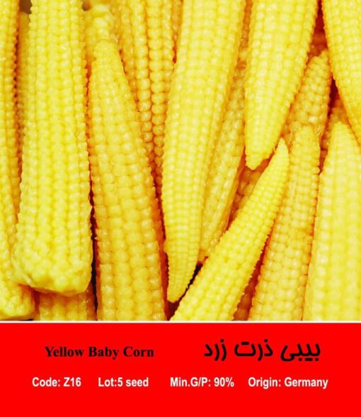 بذر بیبی ذرت زرد Yellow Baby Corn