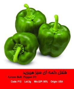 بذر فلفل سبز هیبرید Green Bell pepper F1
