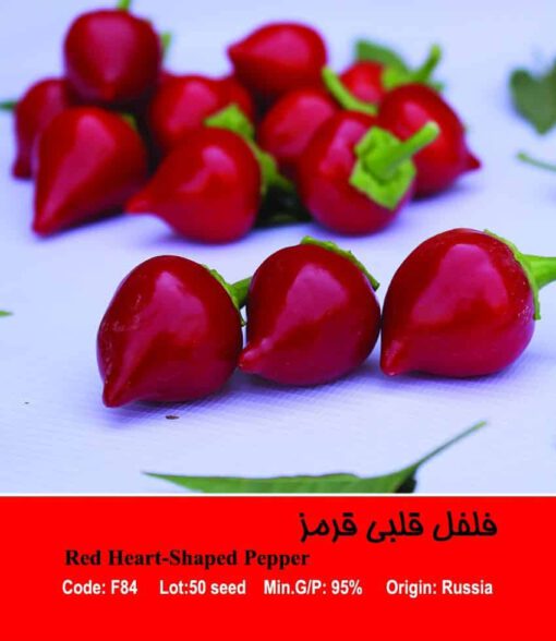 بذر فلفل قلبی قرمز Red Heart-Shaped Papper