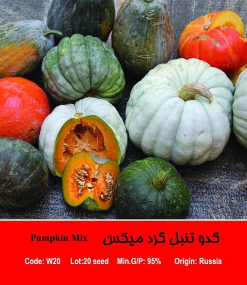 بذر کدو تنبل گرد میکس Pumpkin Mix