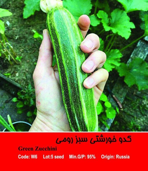 بذر کدو خورشتی سبز رومی Green Zucchini