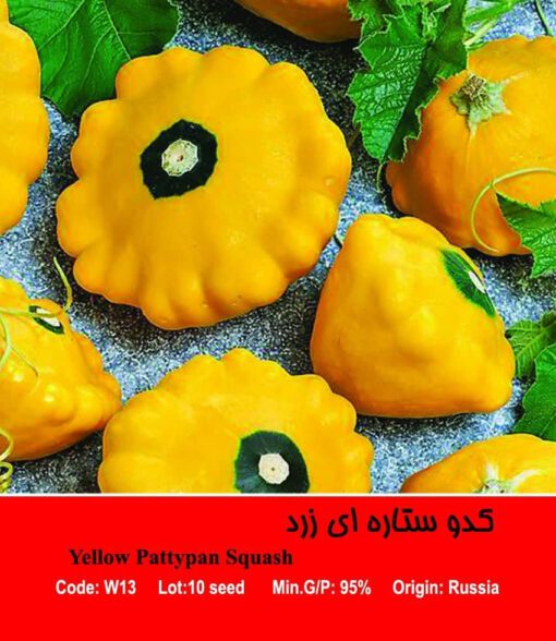 بذر کدو ستاره ای زرد Yellow Pattypan Squash