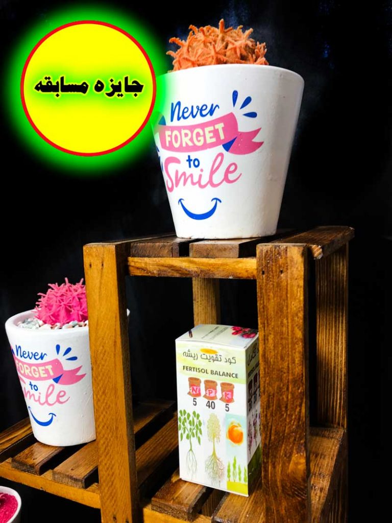 جایزه مسابقه اول استند چوبی به همراه گلدان و کاکتوس و کود به صورت اینترنتی