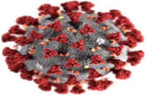 آمار روند پیشرفت کرونا ویروس در ایران و جهان