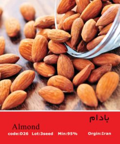 بذر درخت بادام Almond