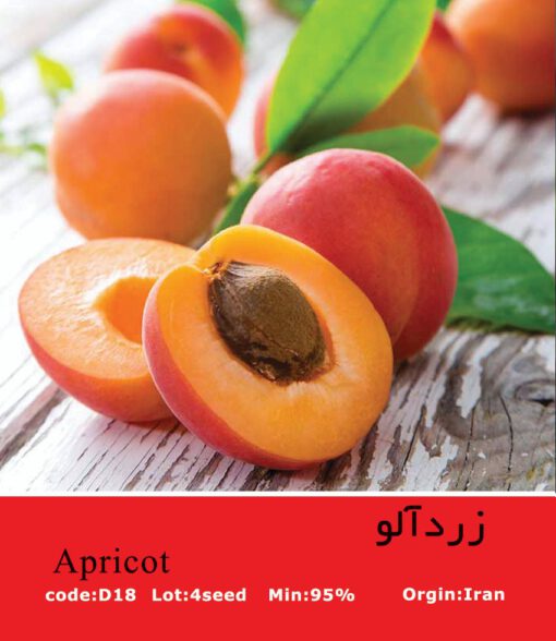 بذر درخت زردآلو Apricot