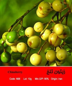 بذر درخت زیتون تلخ Chinaberry