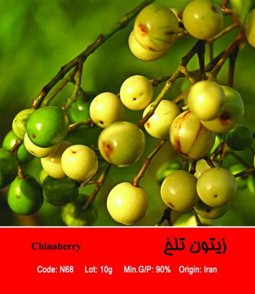 بذر درخت زیتون تلخ Chinaberry