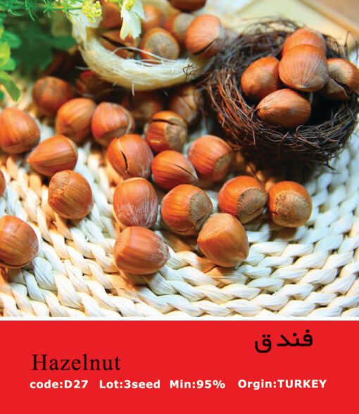 بذر درخت فندق Hazelnut