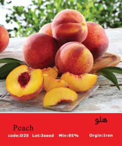 بذر درخت هلو Peach