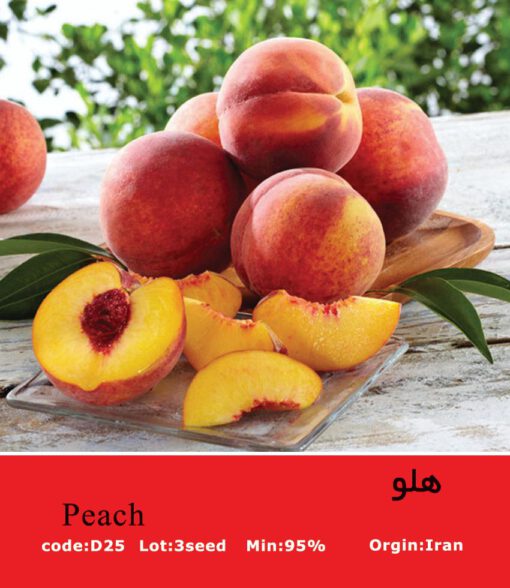 بذر درخت هلو Peach