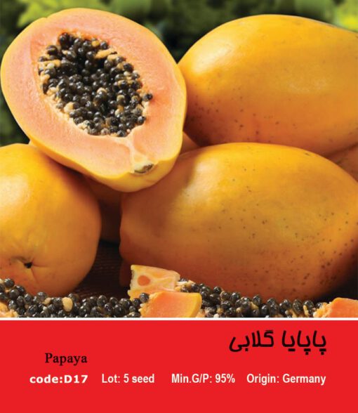 بذر درخت پاپایا گلابی Papaya