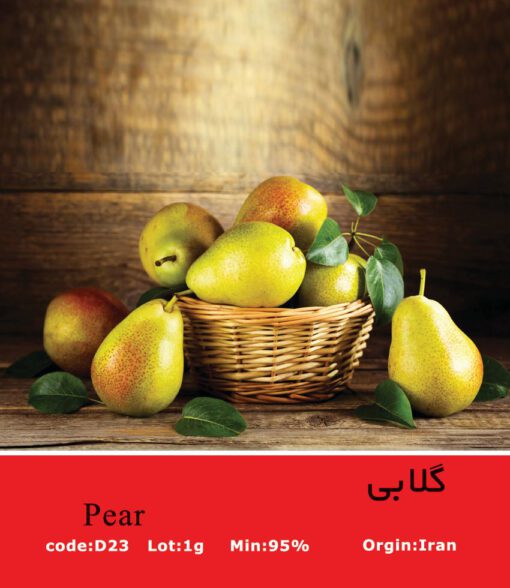 بذر درخت گلابی Pear