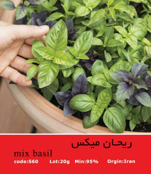 بذر ریحان میکس Mix Basil