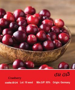 بذر میوه کرن بری Cranberry