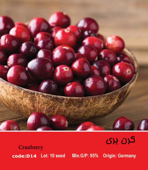 بذر میوه کرن بری Cranberry