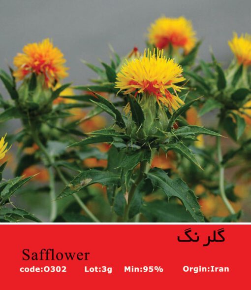 بذر_گیاه_گلرنگ_safflower