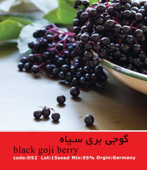 بذر گوجی بری سیاه Black Goji Berry