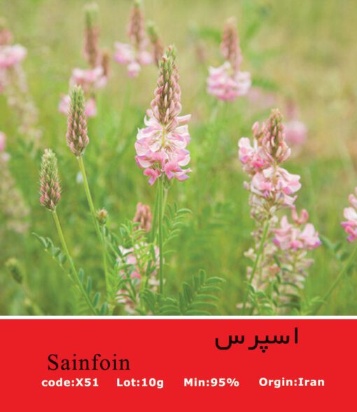 بذر گیاه اسپرس Sainfoin