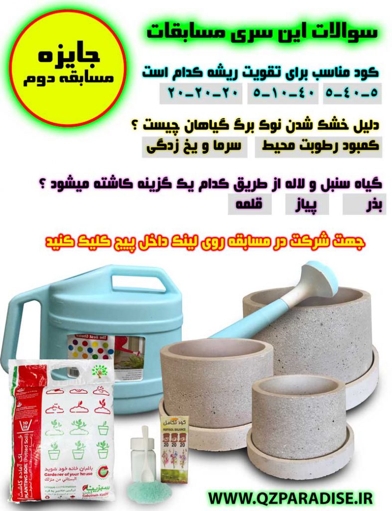 مسابقات دوم مجازی اینترنتی مجموعه پارادایس جایزه ویژه