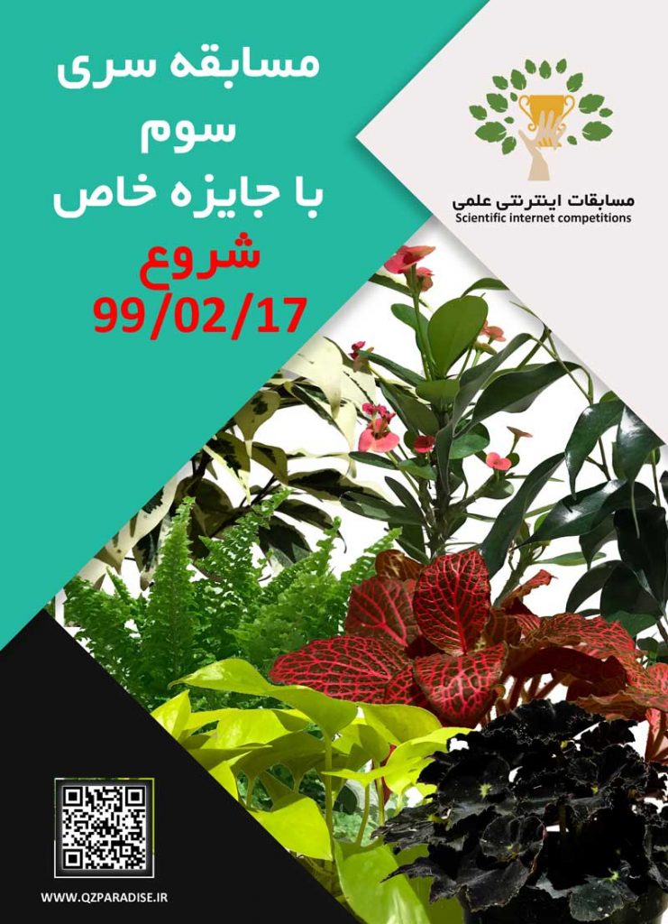 مسابقات اینترنتی سری سوم جایزه ویژه مسابقه