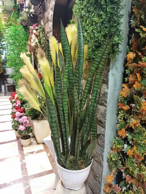 درختچه مصنوعی با بالاترین کیفیت به صورت کلی و جزئی فروش گل و گیاه