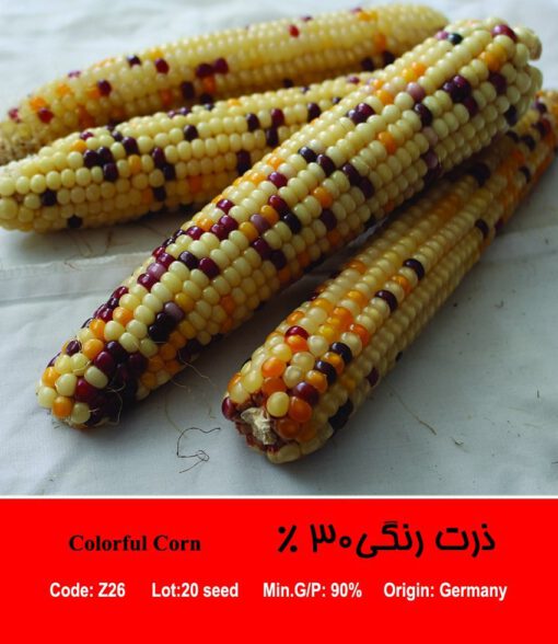 بذر ذرت رنگی 30 درصد Colorful Corn