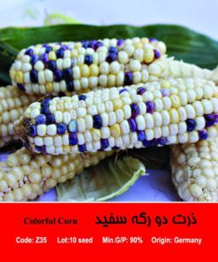 بذر ذرت رنگی میکس Colorful Corn