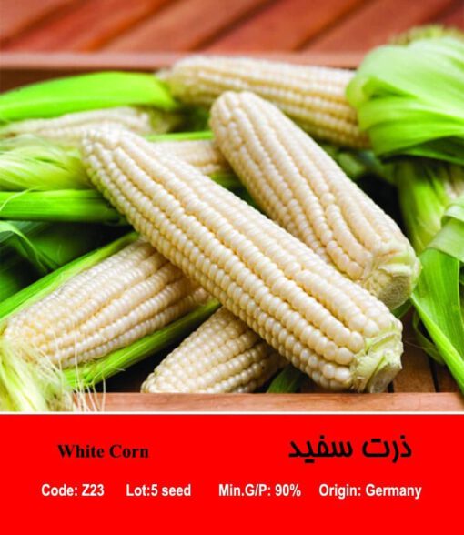 بذر ذرت سفید White Corn