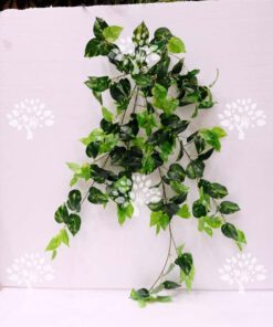 گیاه رونده مصنوعی AFA24 Plant pendant با بهترین کیفیت ها