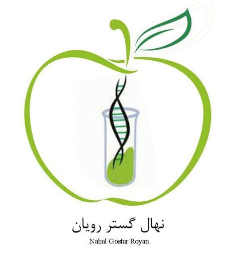شرکت دانش بنیان نهال گستر رویان عرضه مستقیم نشاء