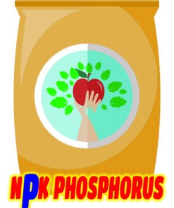 کود فسفر بالا