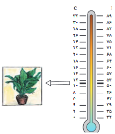 05251efb10d91810c838cd48cf769de1d2d27442 335 - اصول داشت و تکثیر برگ عبائی چیست ؟
