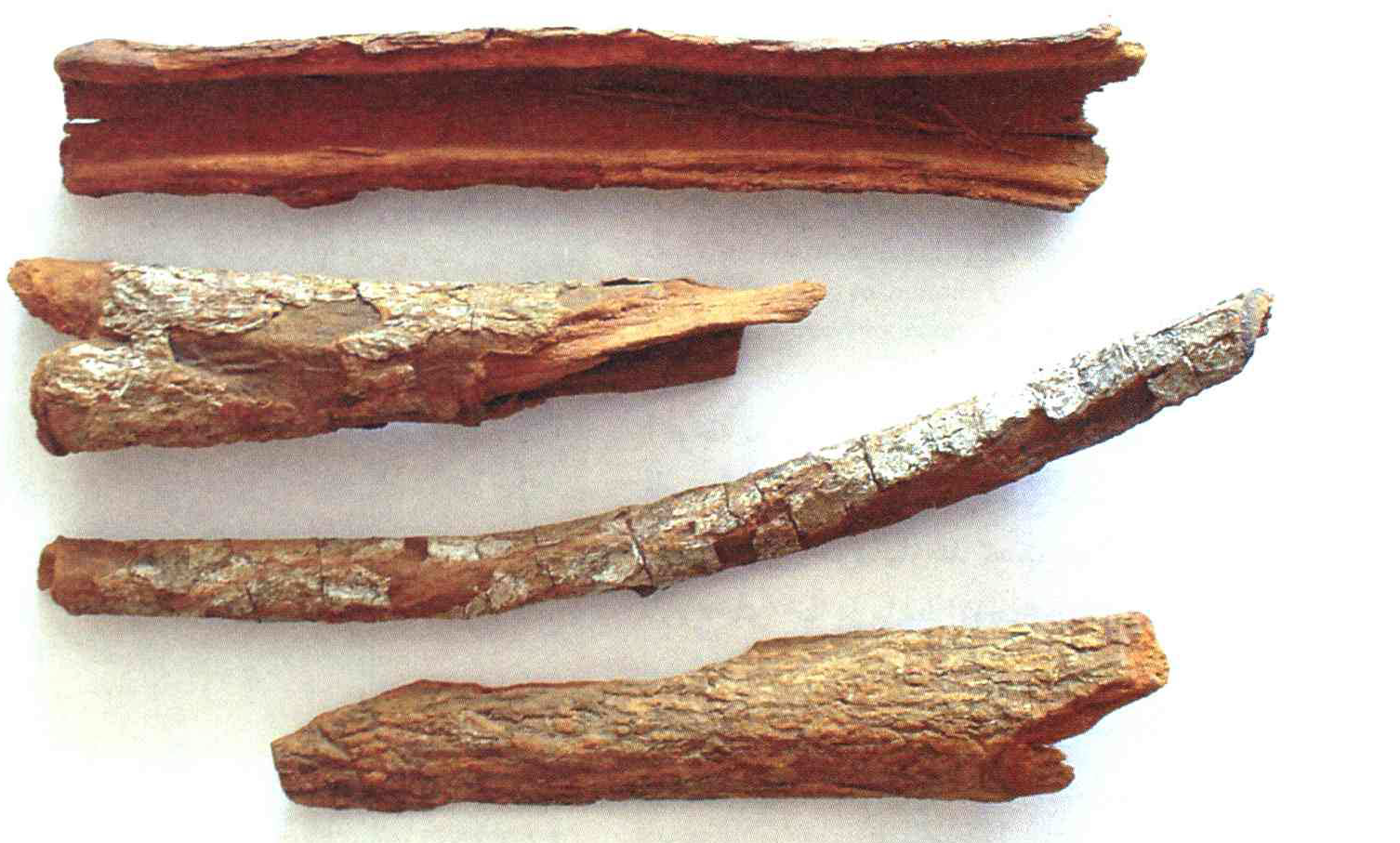 کود مناسب گیاه گنه گنه چیست و چه خاصیتی دارد؟ 05a5f6b6e5303c4769d18773dbe8d36339a1c0cc 14 - کود مناسب گیاه گنه گنه چیست و چه خاصیتی دارد؟