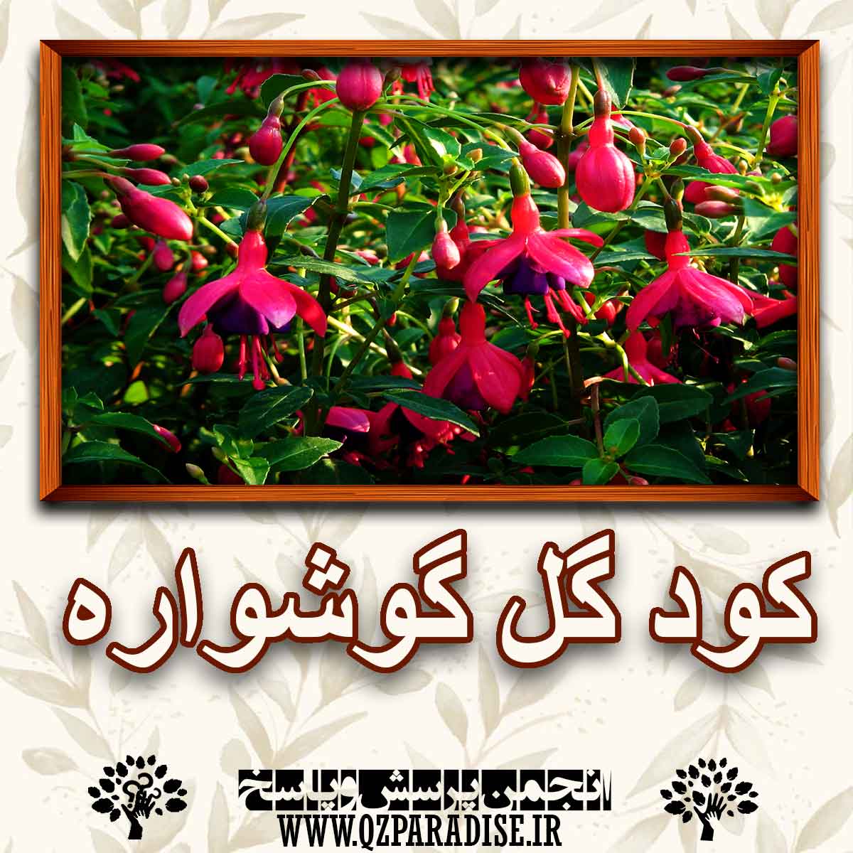 خواص و فواید کود گل گوشواره ای را شرح دهید ؟ 0bae205a65c34c5a25c1740e1cf2ce632d9c11b5 227 - خواص و فواید کود گل گوشواره ای را شرح دهید ؟