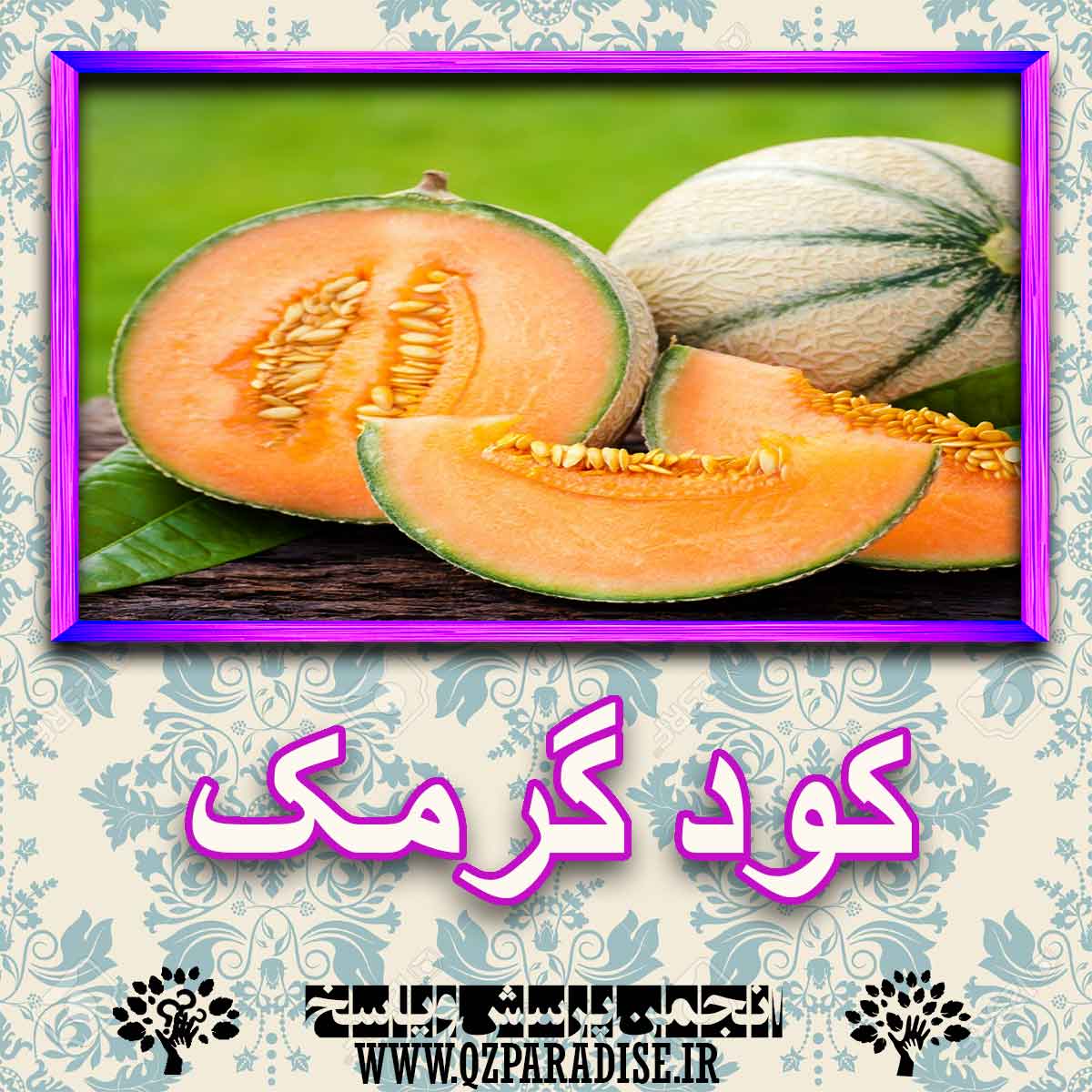 خواص استفاده از کود گرمک را شرح دهید ؟ 0bfd410c758cdf5407aac064efb2e93c70da778f 227 - خواص استفاده از کود گرمک را شرح دهید ؟