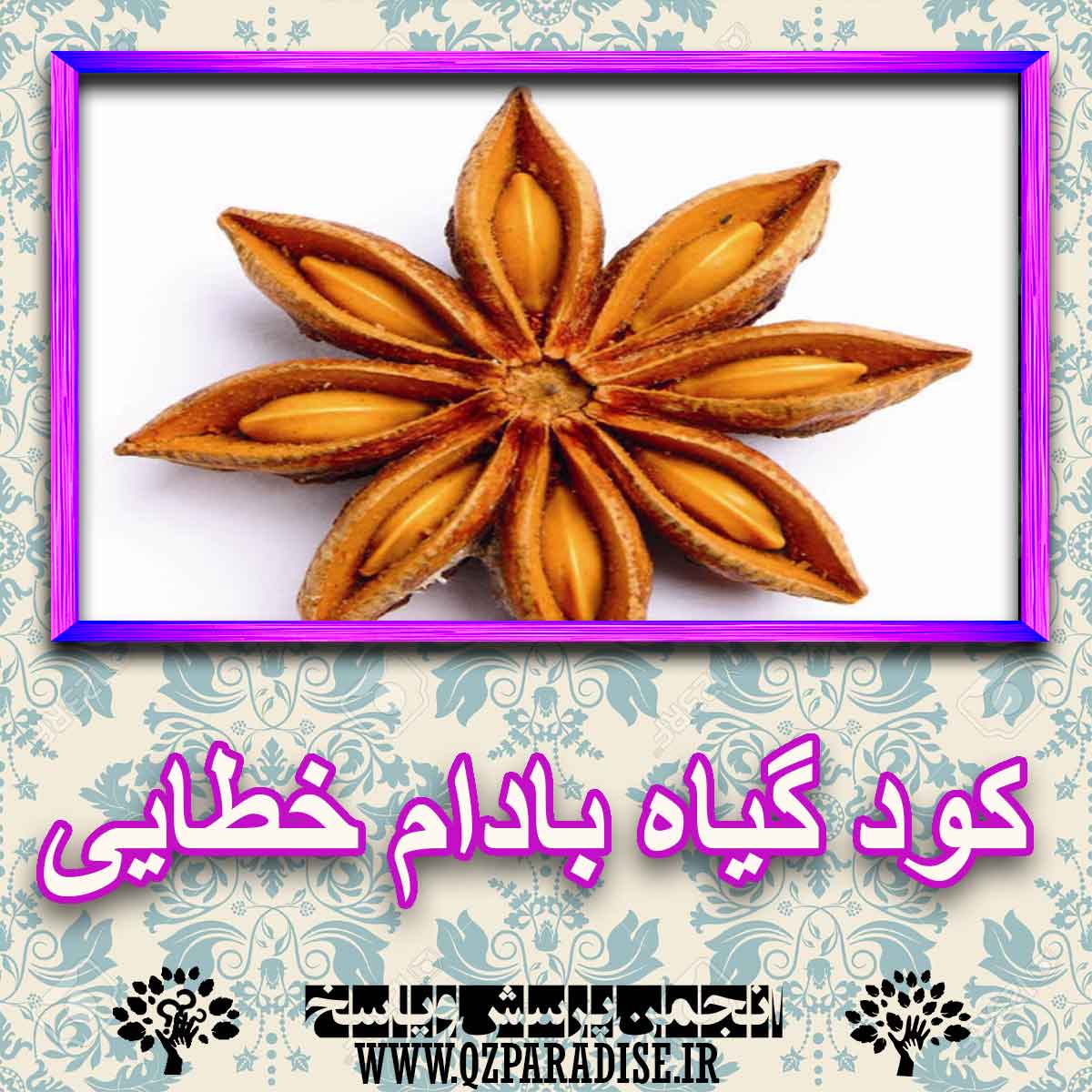 کود مناسب گیاه بادام خطایی چیست و چه خاصیتی دارد؟ 13e3db4c7aafbb6a0ae0363b9ec81959ff851eff 227 - کود مناسب گیاه بادام خطایی چیست و چه خاصیتی دارد؟