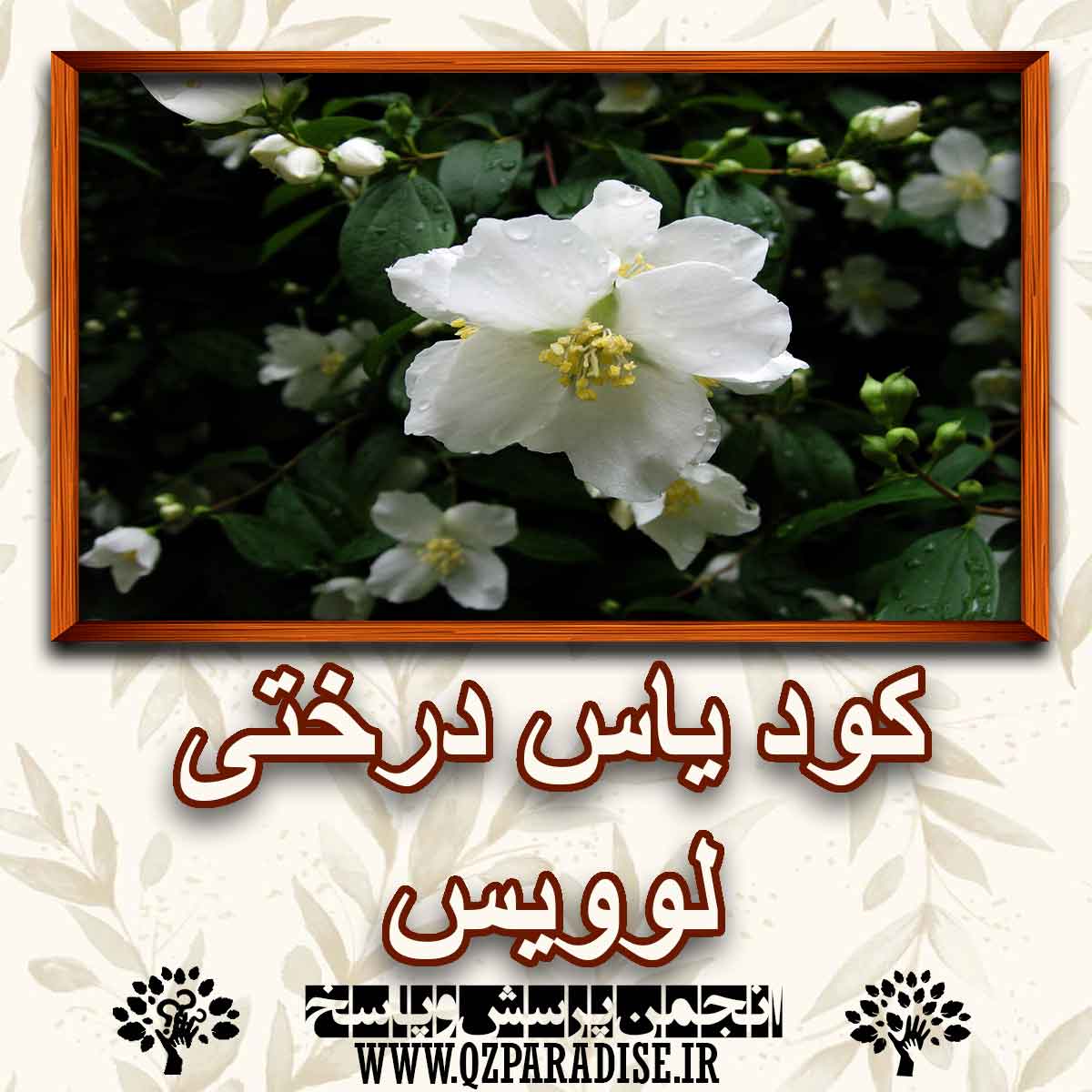 خواص استفاده از کود گیاه یاس درختی لوویس را شرح دهید ؟ 1ce7c2af2f844be918c4f5ff5028bc8f23a814da 227 - خواص استفاده از کود گیاه یاس درختی لوویس را شرح دهید ؟