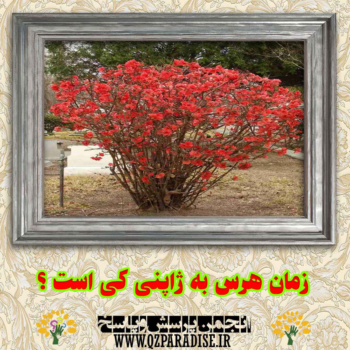 2143cd49822b5b80beab04d234362f683f67fbba 290 - زمان هرس به ژاپنی کی است؟