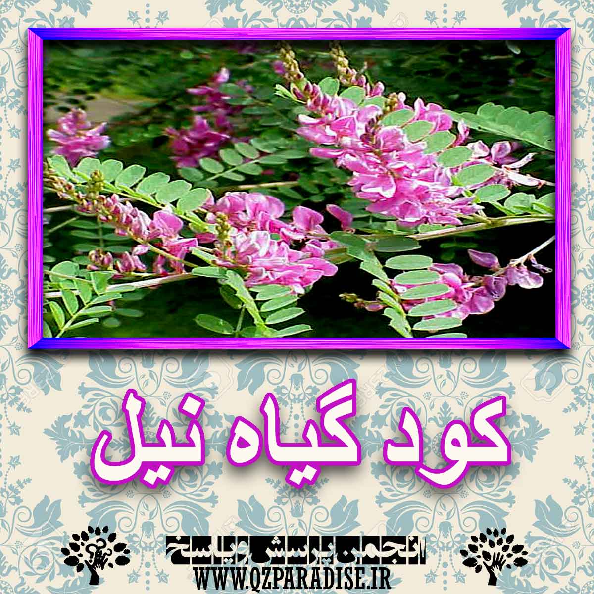 کود مناسب گیاه نیل چیست و چه خاصیتی دارد؟ 2158b7aef8cd91efff5190abb8696f322f3ebe88 227 - کود مناسب گیاه نیل چیست و چه خاصیتی دارد؟