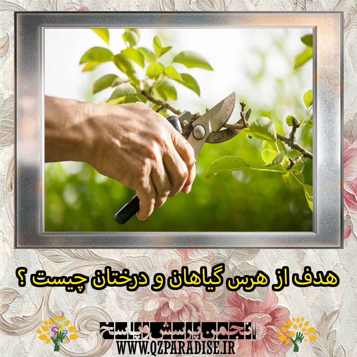 26b632f98c72e4040f26b93efecd5afe2aec2827 291 - هدف از هرس گیاهان و درختان چیست ؟