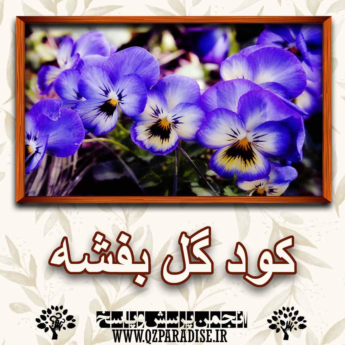 خواص کود گل بنفشه را توضیح دهید ؟ 2f9d6b75b03c6bf6b683400e724eb1dbe364bde1 227 - خواص کود گل بنفشه را توضیح دهید ؟