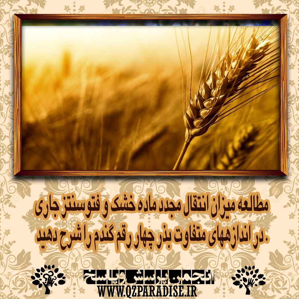 مطالعه ميزان انتقال مجدد ماده خشك و فتوسنتز جاري در اندازههاي متفاوت بذر چهار رقم گندم را شرح دهید . 35c060b5d91223cbc4812208c74dedcd281bef0e 14 - مطالعه ميزان انتقال مجدد ماده خشك و فتوسنتز جاري در اندازههاي متفاوت بذر چهار رقم گندم را شرح دهید .