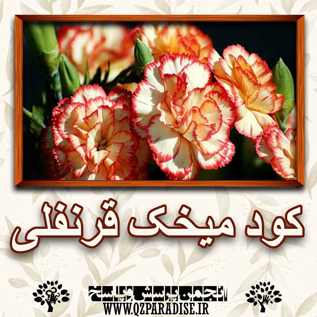 خواص کود گیاه میخک قرنفلی را شرح دهید؟ 39439ad0d8f5bdc69fb46f707ba9258a1895d556 227 - خواص کود گیاه میخک قرنفلی را شرح دهید؟