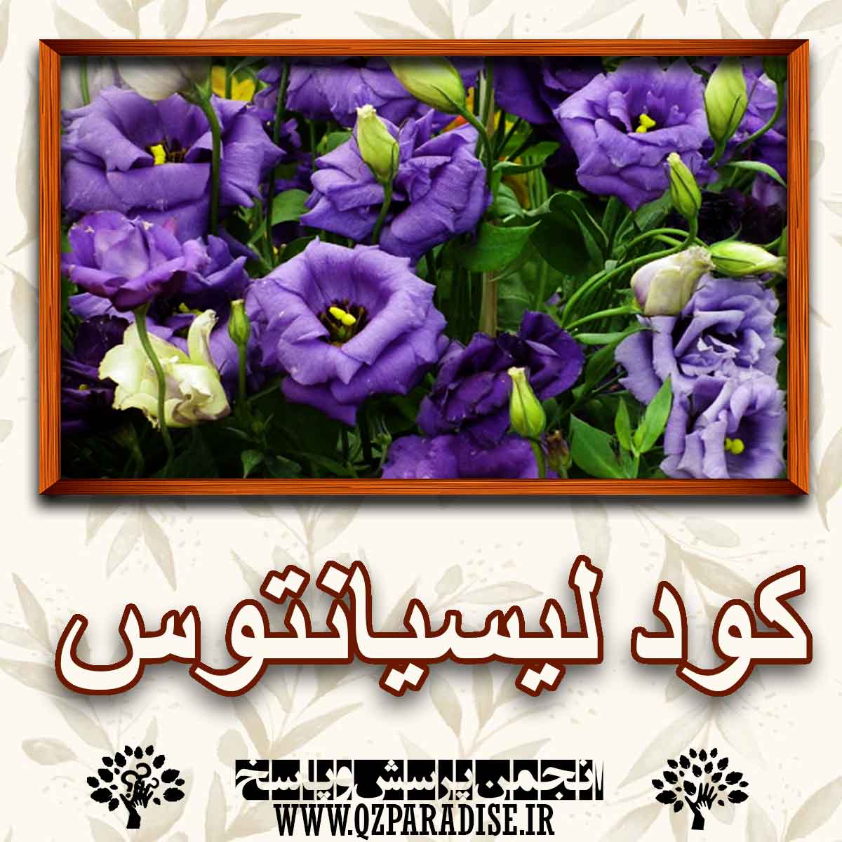 خواص و فواید کود لیسیانتوس را در تولید محصولات کشاورزی بیان کنید ؟ 3ba700b82a95993cd3cee24ef6df4993124ba2d3 227 - خواص و فواید کود لیسیانتوس را در تولید محصولات کشاورزی بیان کنید ؟